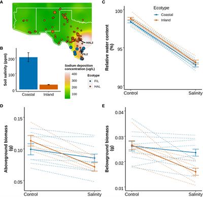 Natural variation in growth and leaf ion homeostasis in response to salinity stress in Panicum hallii